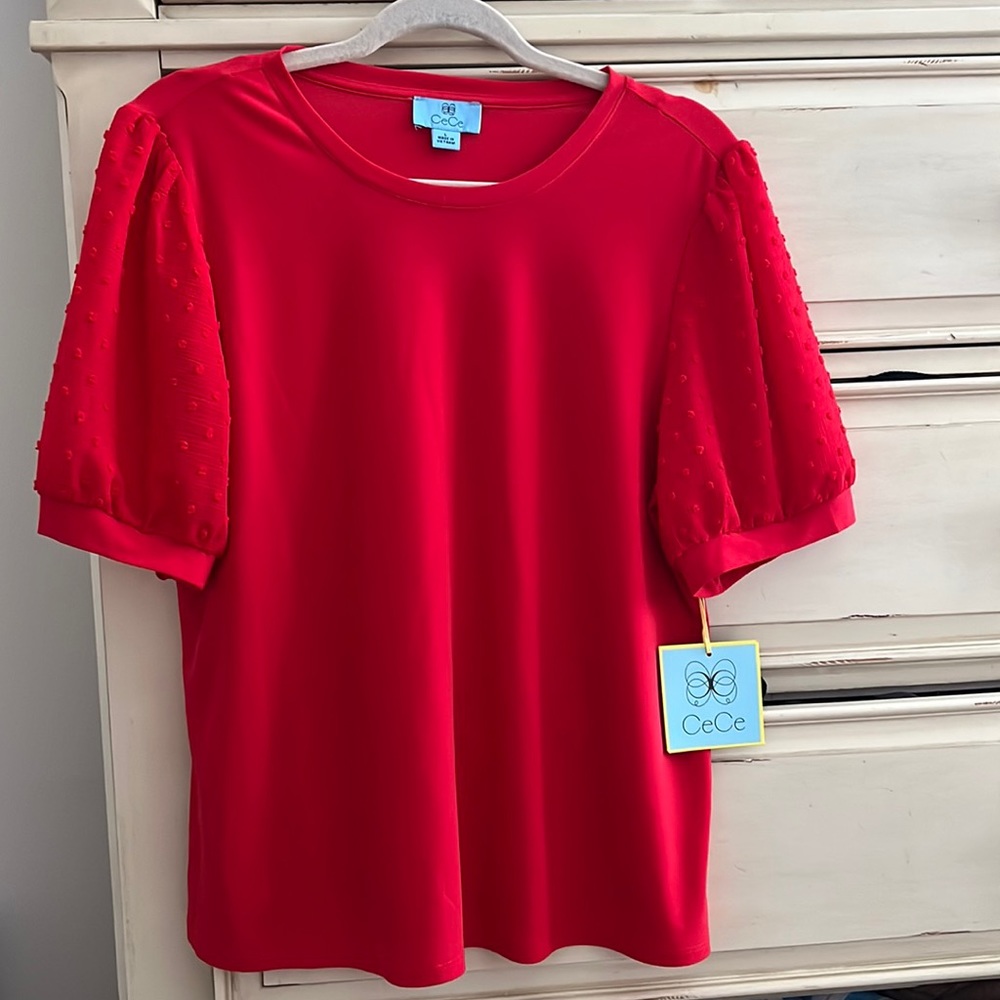 Red Blouse